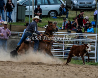 BungendoreRodeo2015_2128