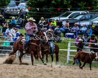 BungendoreRodeo2015_2149