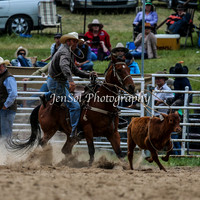 BungendoreRodeo2015_2161