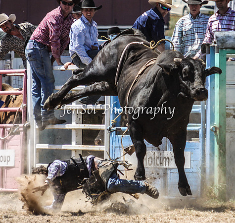 Bungendore2011_0820