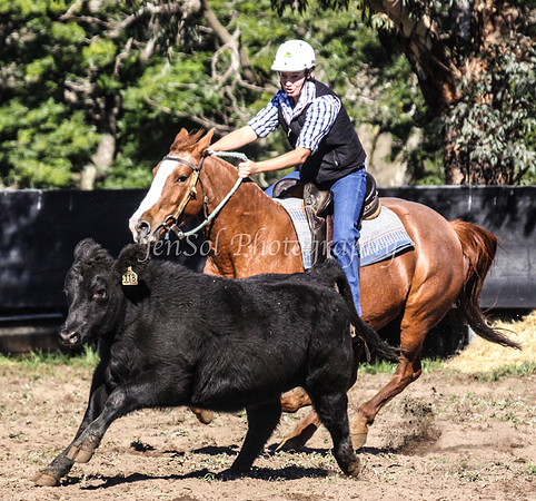IMG_0310Jugiong1