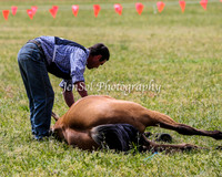 Battleonthebidgee_0379