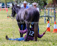 Battleonthebidgee_0406