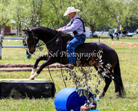 Battleonthebidgee_0411