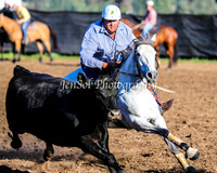 Campdraft