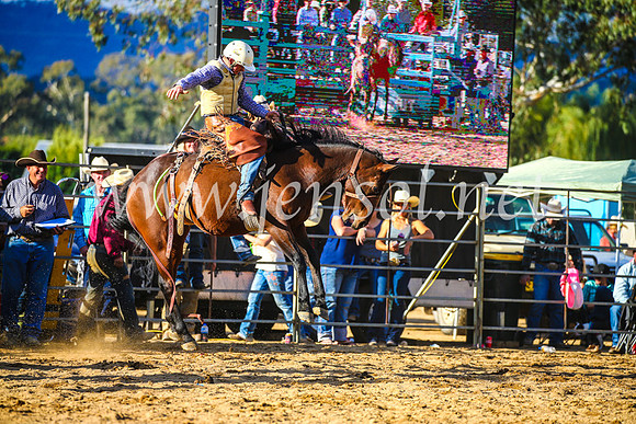 TumutRodeo2017_2432