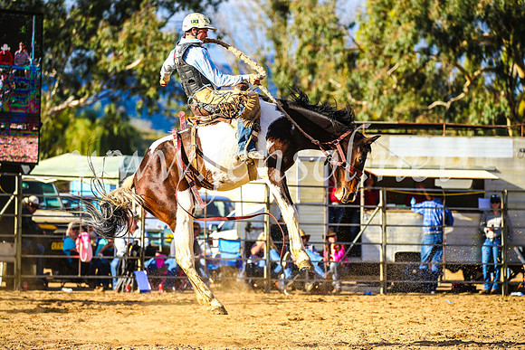 TumutRodeo2017_2561