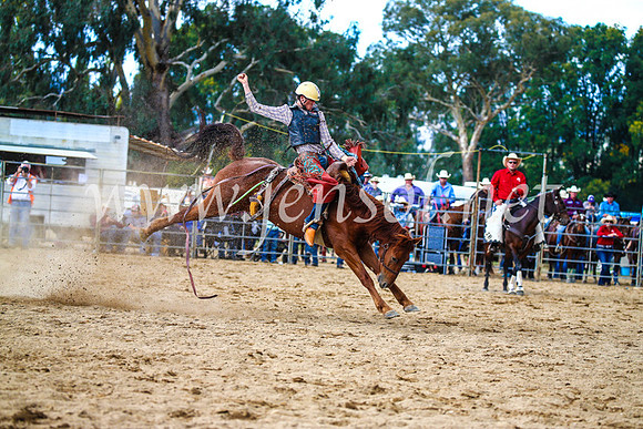 TumutRodeo2017_1467