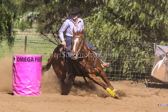 Dubbo2 329
