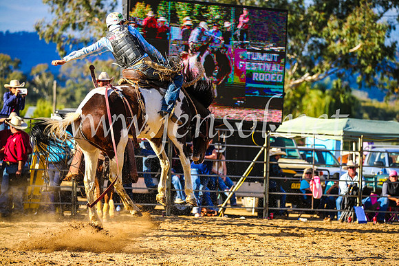 TumutRodeo2017_2534
