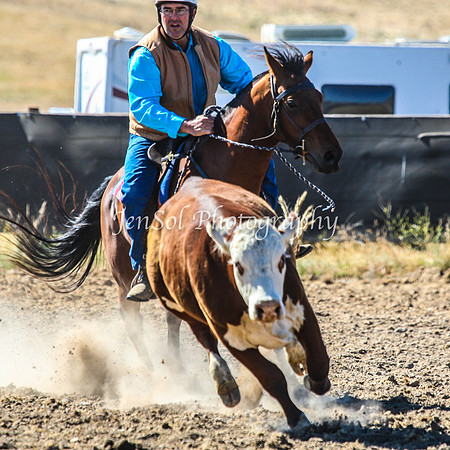 AdaminabyCampdraft2015_0117
