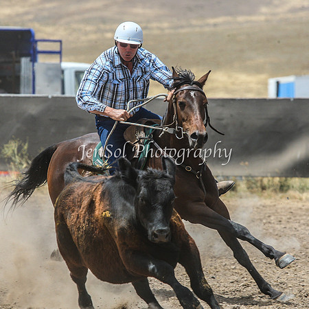 AdaminabyCampdraftSun2015_3039