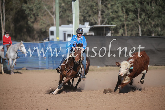 CCCampdraft2016_6267