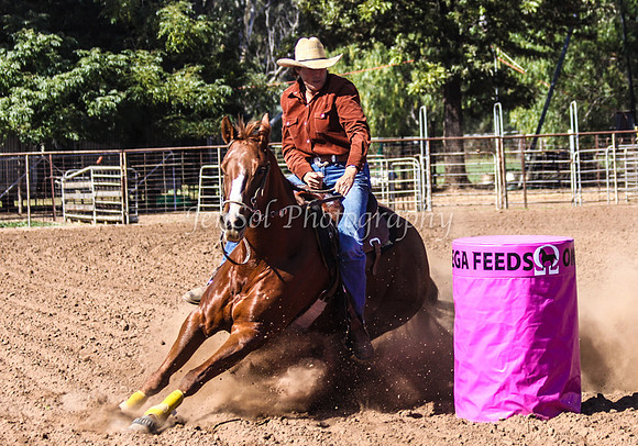 Dubbo2 005