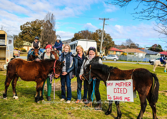 QueanbeyanBrumbyRallyAug26_0010