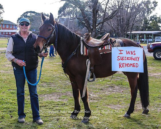 QueanbeyanBrumbyRallyAug26_0002