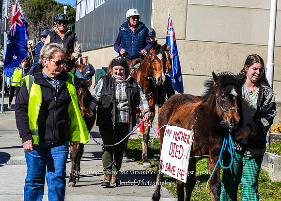 QueanbeyanBrumbyRallyAug26_0026