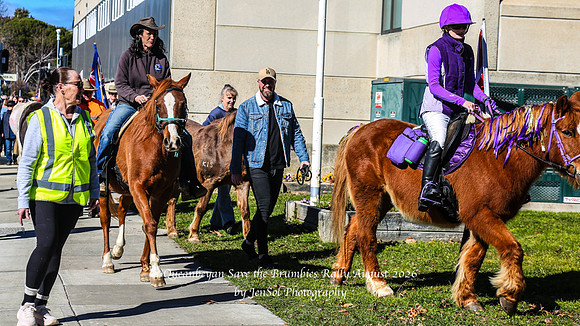QueanbeyanBrumbyRallyAug26_0030