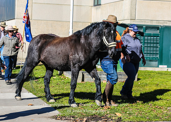 QueanbeyanBrumbyRallyAug26_0031