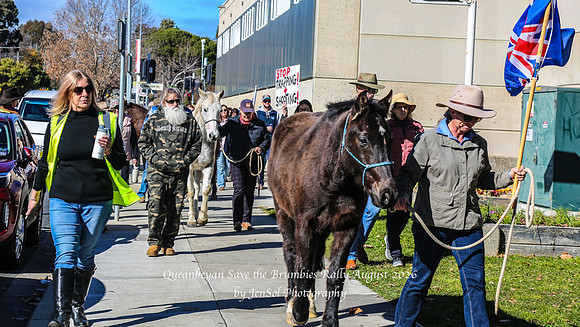 QueanbeyanBrumbyRallyAug26_0033