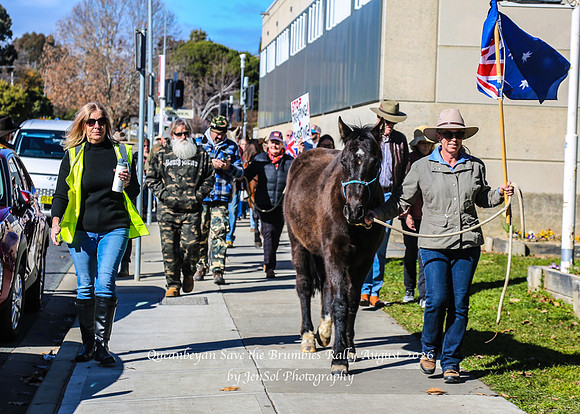 QueanbeyanBrumbyRallyAug26_0032