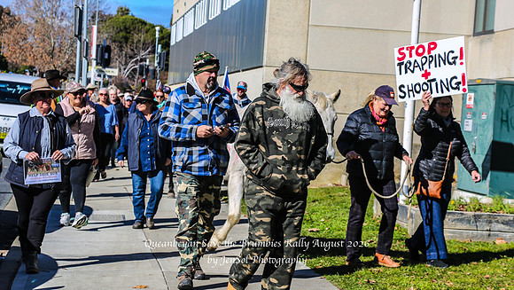 QueanbeyanBrumbyRallyAug26_0034