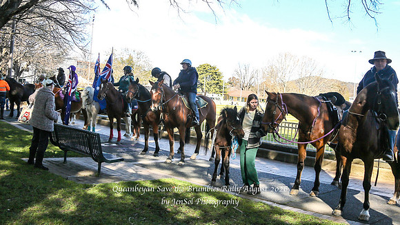 QueanbeyanBrumbyRallyAug26_0042