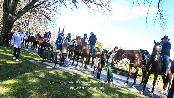 QueanbeyanBrumbyRallyAug26_0043
