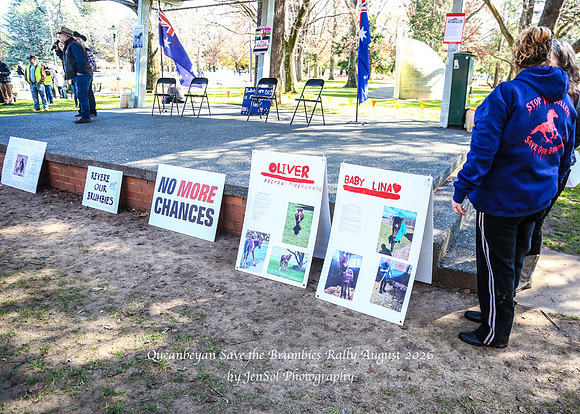 QueanbeyanBrumbyRallyAug26_0053