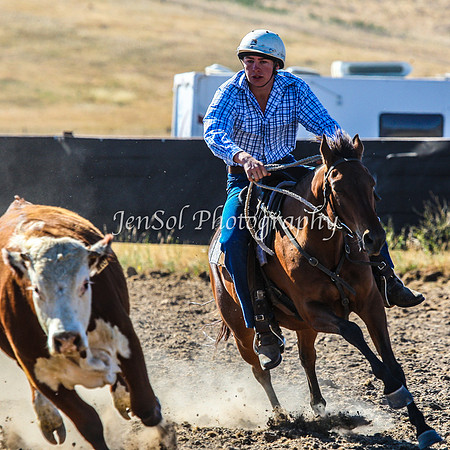 AdaminabyCampdraft2015_0029