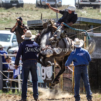 Bungendore2011_0334