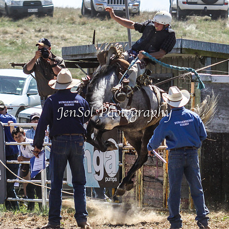 Bungendore2011_0334