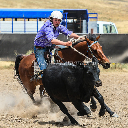 AdaminabyCampdraftSun2015_3399