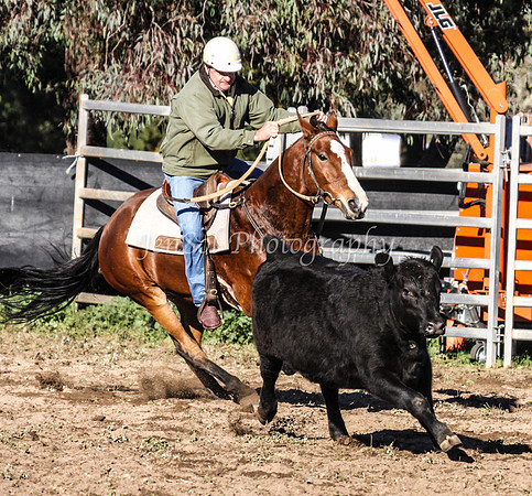 IMG_0082Jugiong1