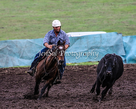 CabanandraCampdraft2014_2517