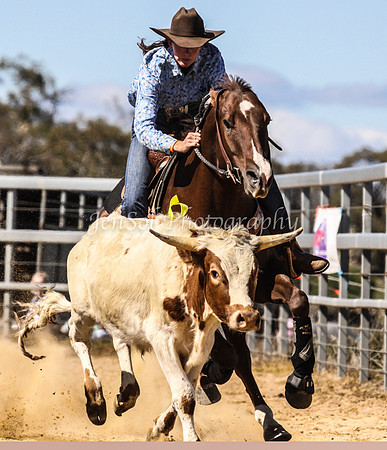 IMG_0162Jindy