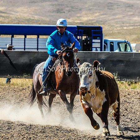 AdaminabyCampdraft2015_0129