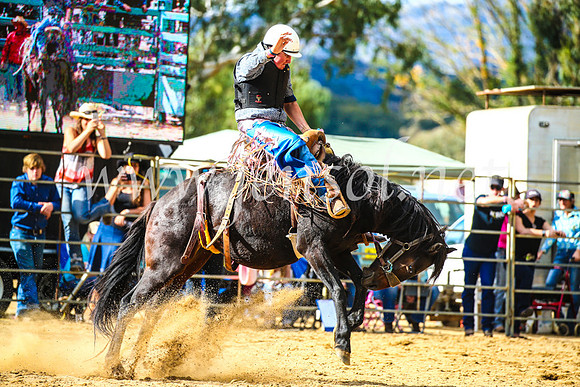 TumutRodeo2017_1659