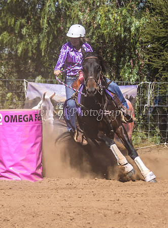 Dubbo2 118