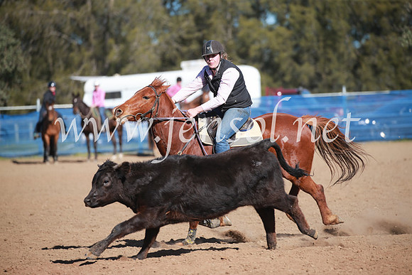 CCCampdraft2016_6223
