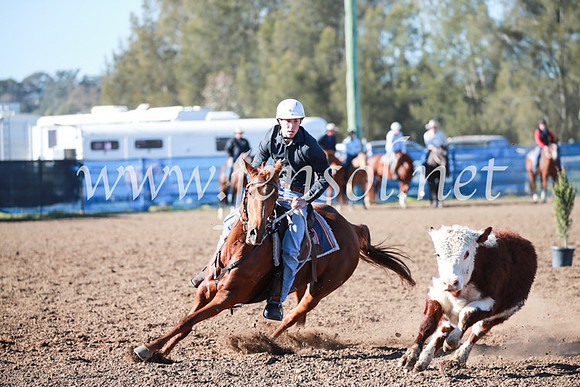 CCCampdraft2016_5182