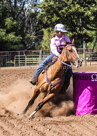 Dubbo2 011