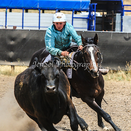 AdaminabyCampdraftSun2015_3302