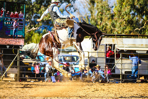 TumutRodeo2017_2548