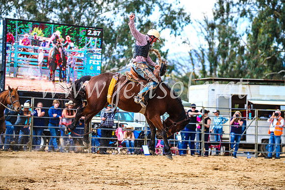 TumutRodeo2017_1559