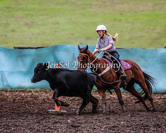 CabanandraCampdraft2014_2141