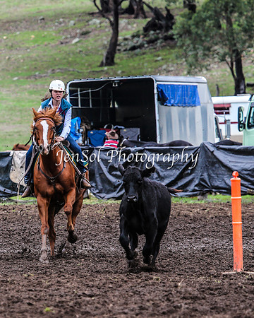 CabanandraCampdraft2014_2291