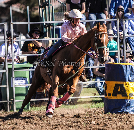 IMG_0193Qbn2