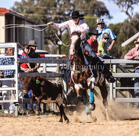IMG_0592Jindy