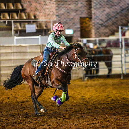 RealDealRodeoFeb2014_0241